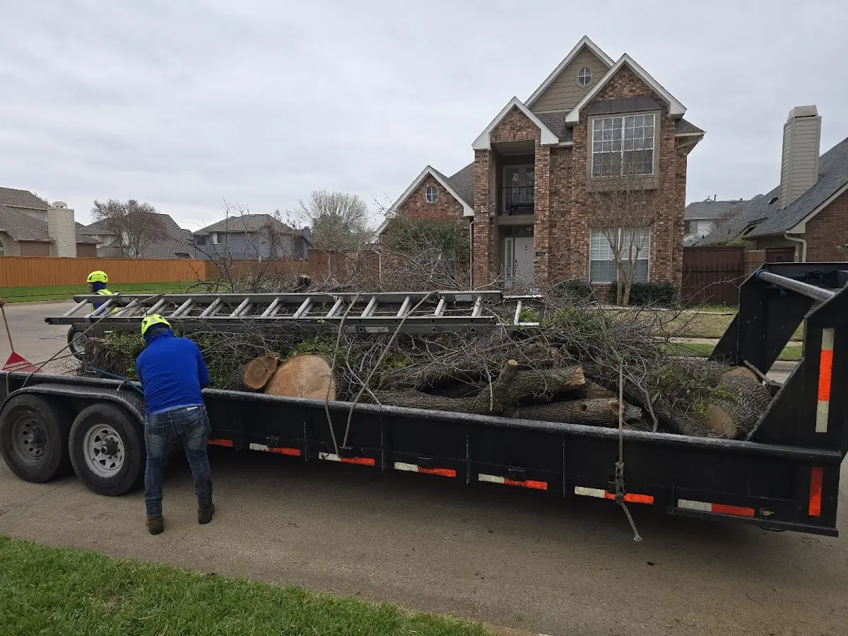 Expert Tree Fertilization with proper safety equipment in Milligan College